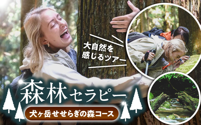 森林セラピー（犬ヶ岳せせらぎの森コース） 《豊前市》　【豊前観光まちづくり協会】　体験 ツアー 旅行 自然探索 登山 [VDO002]