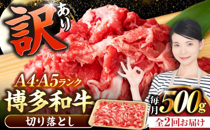 【全2回定期便】【訳あり】【A4～A5ランク】博多和牛 切り落とし 500g《豊前市》【株式会社木村食品】国産 黒毛和牛 牛丼 肉じゃが [VDZ044]