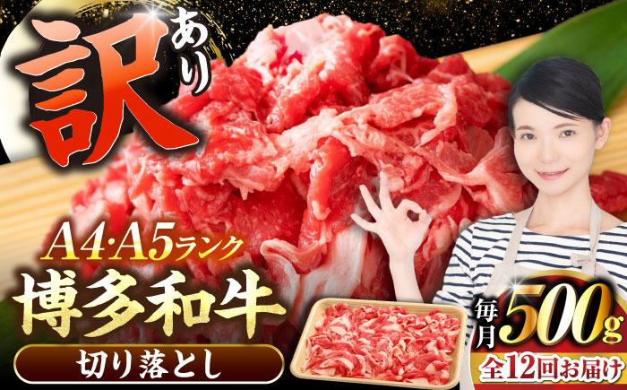 【全12回定期便】【訳あり】【A4～A5ランク】博多和牛 切り落とし 500g《豊前市》【株式会社木村食品】国産 黒毛和牛 牛丼 肉じゃが [VDZ047]