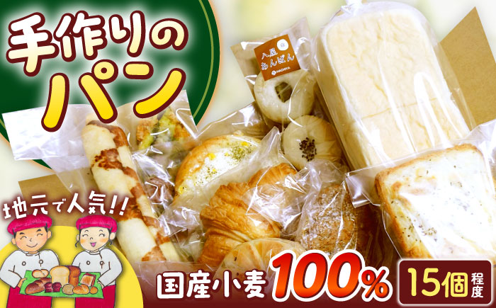 ビッグパン人気商品 詰め合わせ（冷凍便） ≪豊前市≫【ビッグパン】 パン ぱん 小麦 国産 [VEA001]