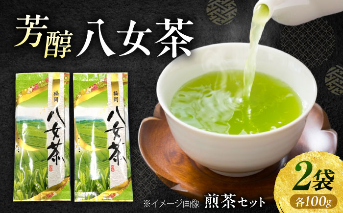 八女茶 煎茶セット 100g×2袋 《豊前市》【株式会社木村食品(千代海苔株式会社)】 [VEH016]