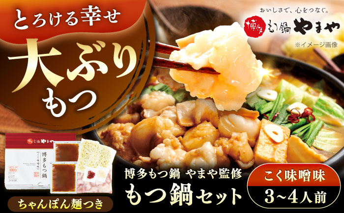 博多もつ鍋やまや もつ鍋セット こく味噌味(3～4人前) 《豊前市》【(株)やまやコミュニケーションズ】もつ鍋 モツ 鍋 福岡 [VEN014]
