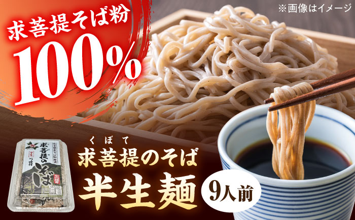 豊前 求菩提そば　石臼挽き　半生麺 9人前　《豊前》　【有限会社豊前民芸】そば　蕎麦　求菩提そば　 [VEQ006]