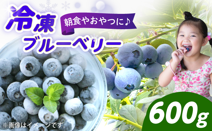 冷凍ブルーベリー 600g 《豊前市》【OH YEAH!農園】 ブルーベリー 果物 フルーツ 冷凍ブルーベリー [VER002]