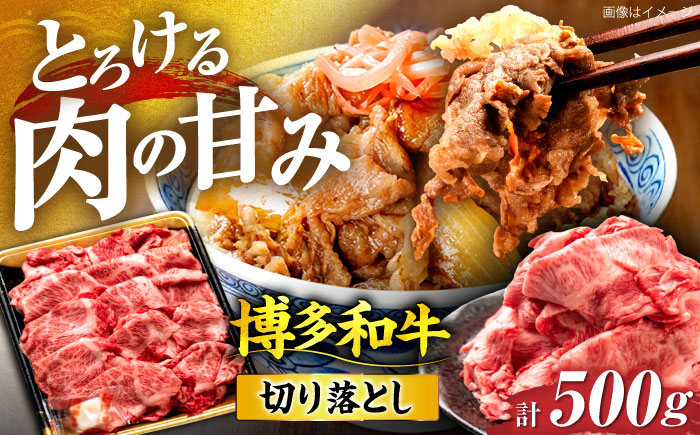 博多和牛 切り落とし 500g 《豊前市》【JA全農ミートフーズ株式会社】 [VET004]