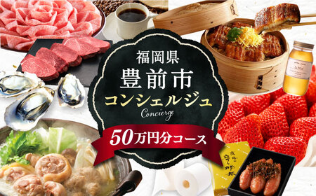 【あなただけの特別プラン】豊前市 コンシェルジュ 寄附額 50万円 コース 《豊前市》 おすすめ おまかせ 定期便 [VZZ001]