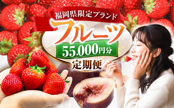 【全4回定期便】フルーツ定期便 5万5千円コース (あまおう3種＆いちじく) 《豊前市》【豊前市定期便】 [VZZ016]