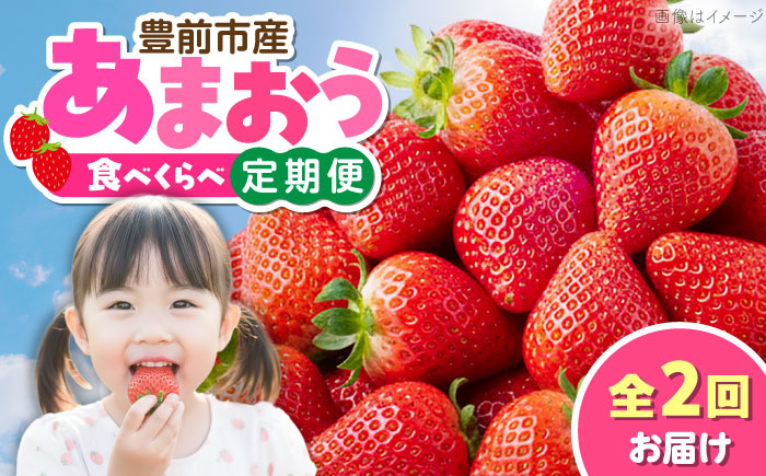 【全2回定期便】あまおう2種食べ比べ返礼品 4万円コース 《豊前市》【豊前市定期便】 [VZZ026]