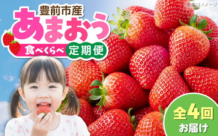 【全4回定期便】あまおう4種食べ比べ返礼品 6万円コース 《豊前市》【豊前市定期便】 [VZZ028]
