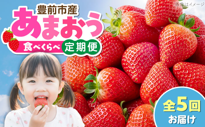 【全5回定期便】あまおう5種食べ比べ返礼品 7万円コース（ジェラート付き）《豊前市》【豊前市定期便】 [VZZ029]