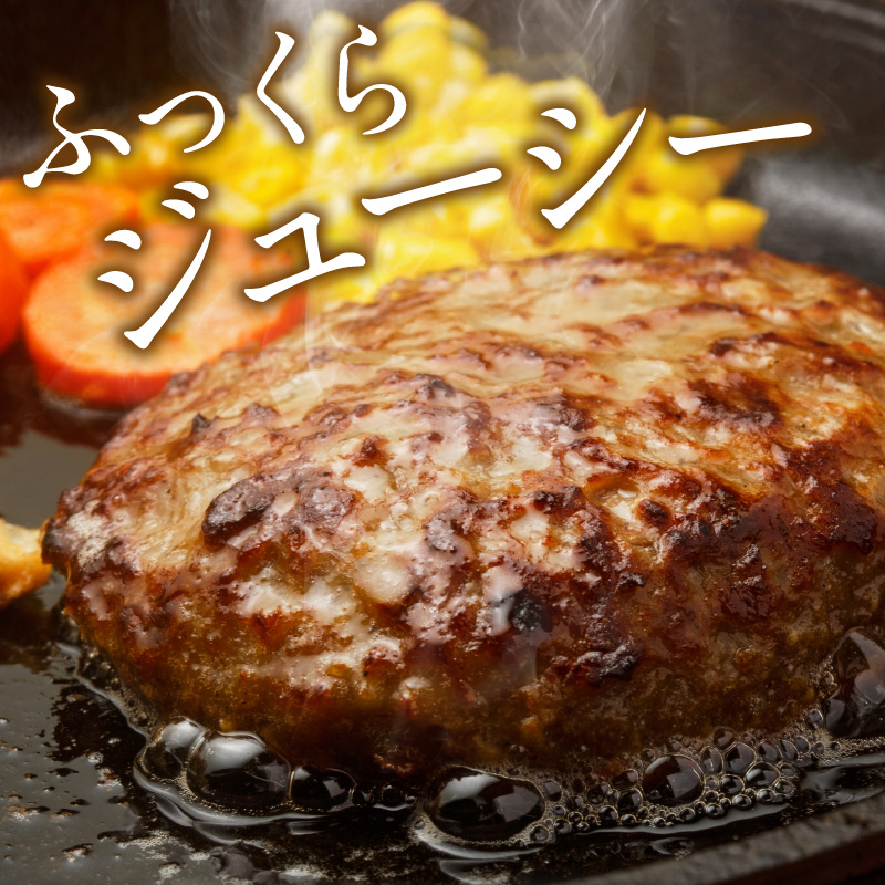 レンジ対応　本格調理済ハンバーグ20食　特製ソース付【001-0031】