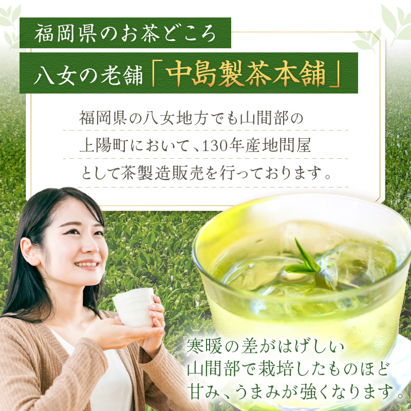 【4回定期便】福岡銘茶八女茶　急須要らずのお手軽セット【001-0365】