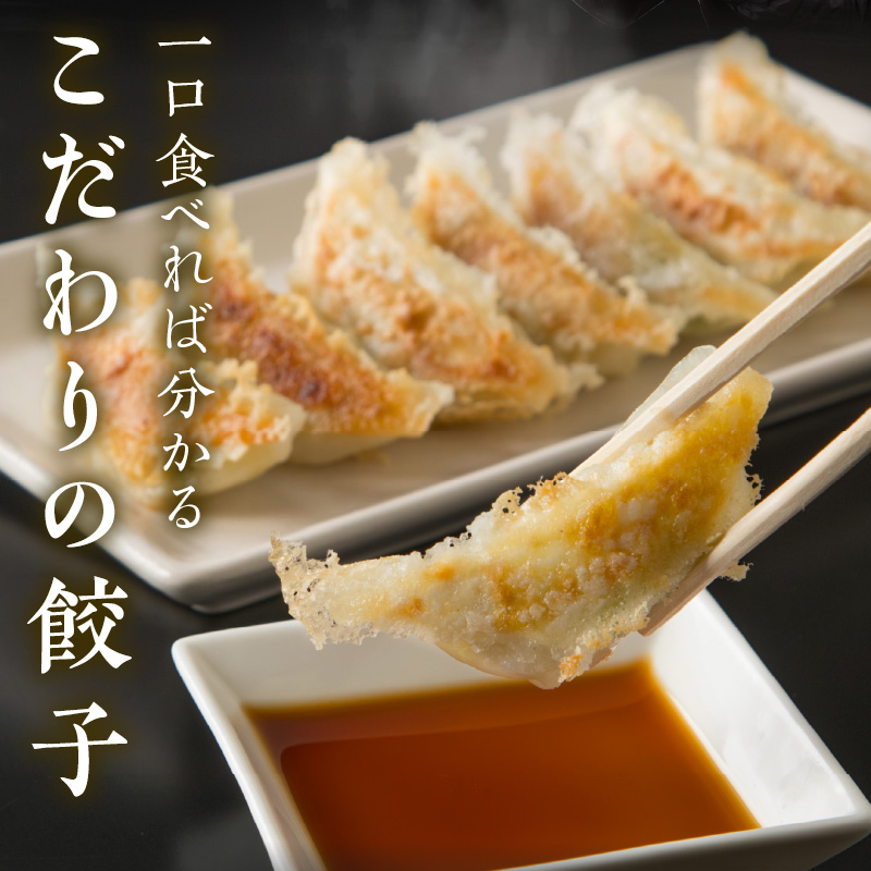 長ちゃん餃子全種4パック(64個入り)【008-0005】