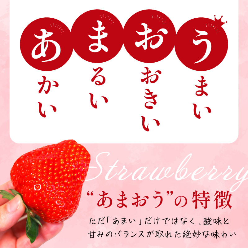 フルーツソムリエが選んだ福岡産【春】あまおう8パック【011-0074】