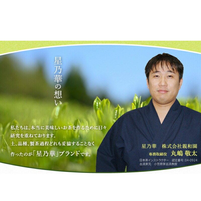 [八女茶]訳あり品　八女星野茶　深蒸し茶1100g【015-0011】