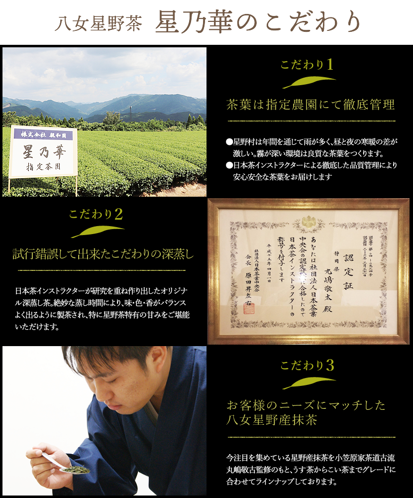 八女茶 八女ほうじ茶 ティーバッグ3g×200個【015-0019】