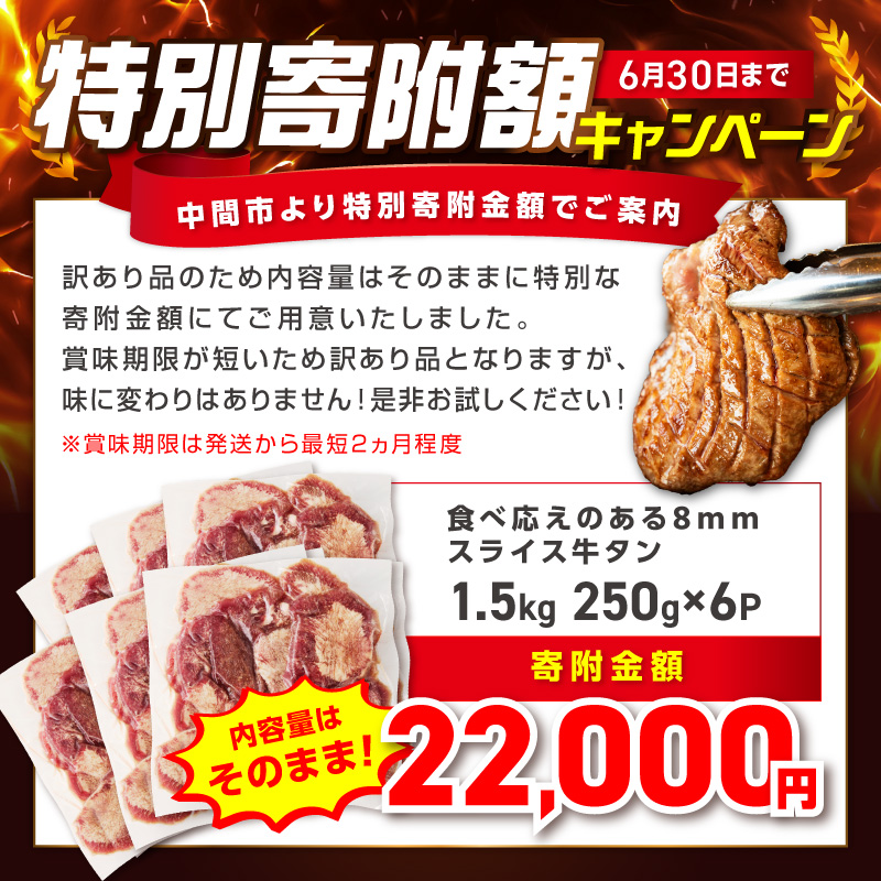 食べ応えのある8mm スライス牛タン 250g×6 計1.5kg【034-0097】