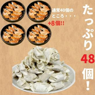 本店鉄なべ　冷凍ぎょうざ48個入り【040-0001】