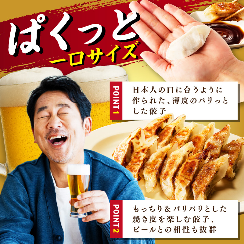 【3回定期便】本店鉄なべ冷凍しそぎょうざ48個入り【040-0009】