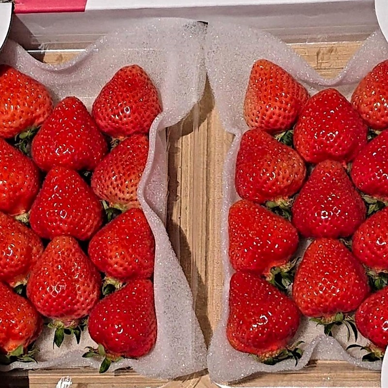 【2026年先行予約】あまおうデラックス(2パック)【044-0059】