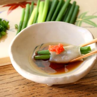 【4回定期便】とらふぐ刺身　菊盛り一尺大皿　ふぐ皮湯引き付4人前【001-0403】