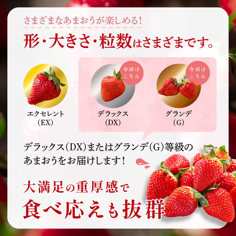 フルーツソムリエが選んだ福岡産【春】あまおう8パック【011-0074】