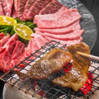 訳あり！【A4～A5】博多和牛焼肉切り落とし(肩ロース・バラ)500g【014-0023】