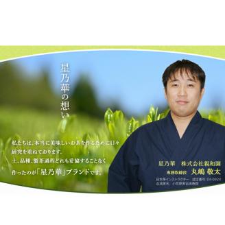 八女茶　煎茶ペットボトル　500ml×24本【015-0004】