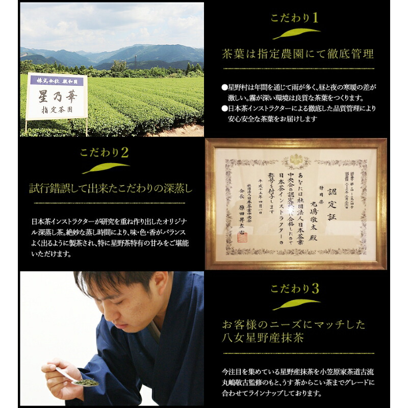 [八女茶]訳あり品　八女星野茶　深蒸し茶1100g【015-0011】