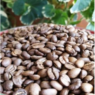 自家焙煎コーヒー豆とハーブティーセット ドリップパック付き カフェドバルビゾン【016-0007】