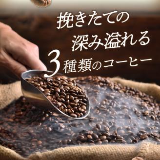 三種の自家焙煎コーヒー豆　飲み比べセット カフェドバルビゾン【016-0009】