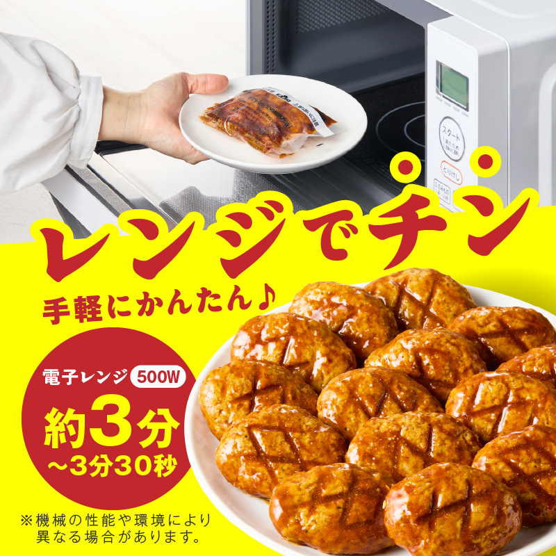 【レンジで簡単！】博多和牛デミグラスソース手ごねハンバーグ【019-0020】