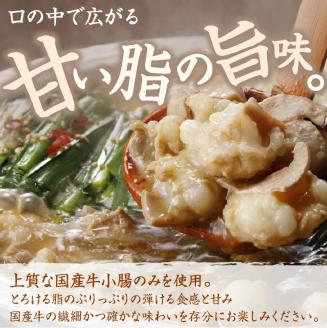 (訳あり)博多若杉牛もつ鍋セット2人前×5回分 【024-0027】