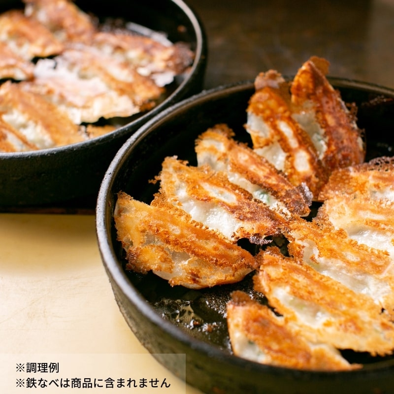 【4回定期便】本店鉄なべ冷凍ぎょうざ48個入り【040-0007】