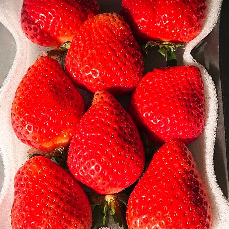 【2026年先行予約】厳選大粒あまおう(約250-270gx4パック)【044-0062】