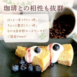 なかま底井野チーズケーキ【055-0002】