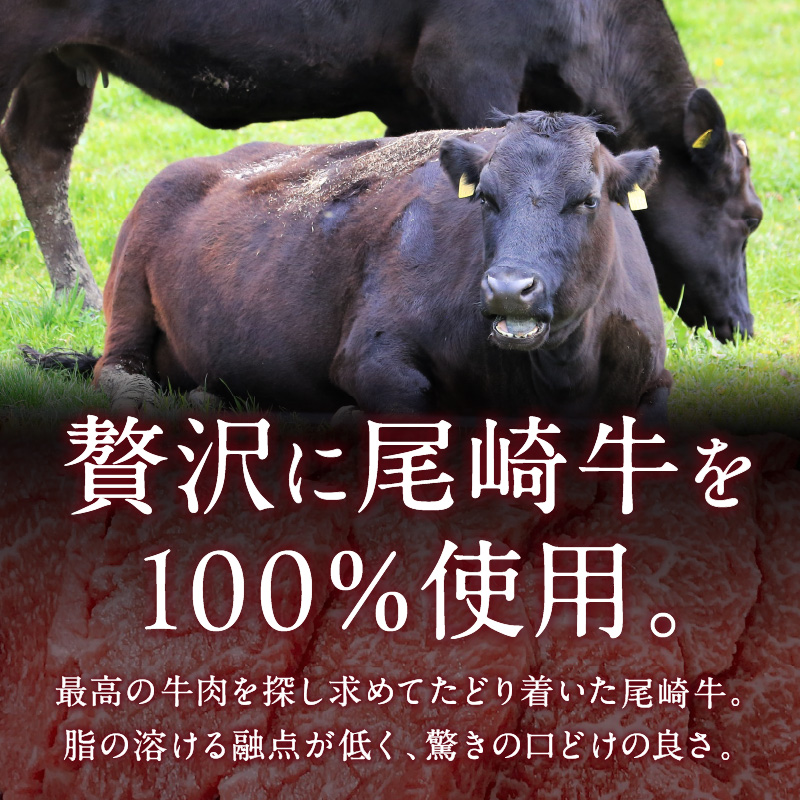 究極のビーフシチュー！フレンチシェフがじっくり煮込んで作った、ビーフシチュー(5食入り)【069-0007】