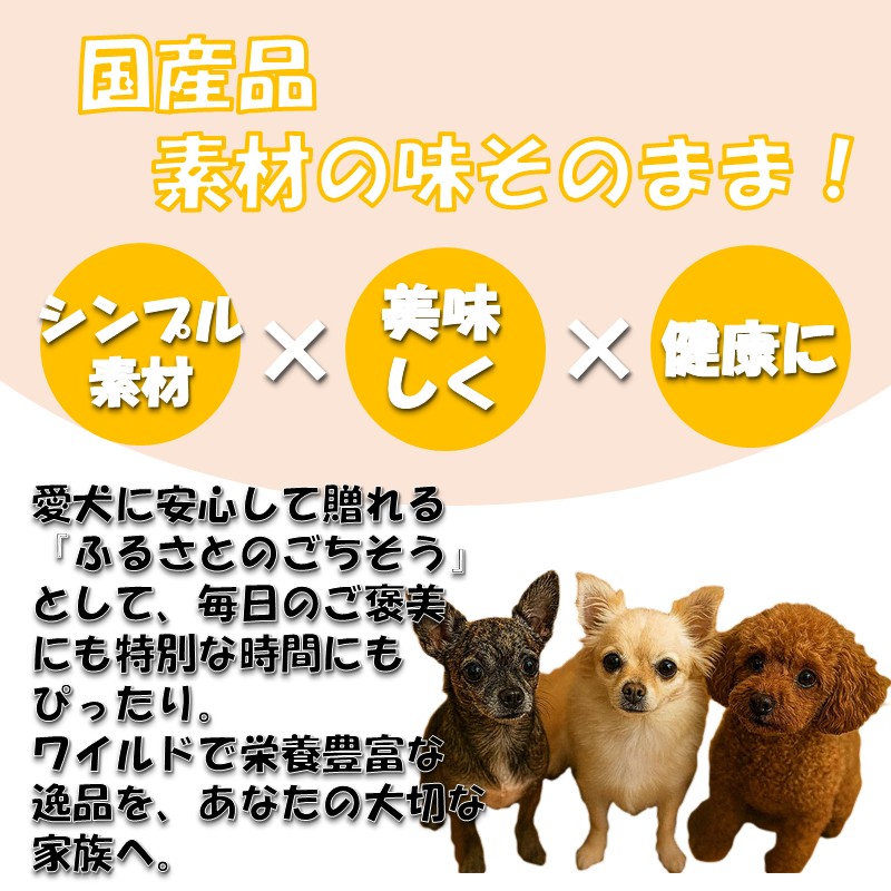 ドッグスナック詰め合わせBOX【大】【090-0001】