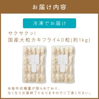 サクサクッ!国産大粒カキフライ40粒(約1kg)【001-0011】