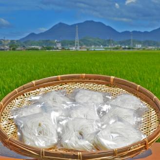 【6回定期便】マルゴめん中間産米麺(プレーン)10食【001-0339】