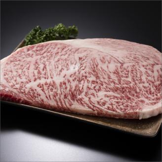 博多和牛サーロインステーキ　250g[250g×1枚]【014-0029】