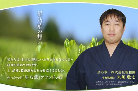 【八女茶】八女星野茶詰合せ「星乃絆」　煎茶80g 深蒸し茶80g かぶせ茶80g【015-0002】