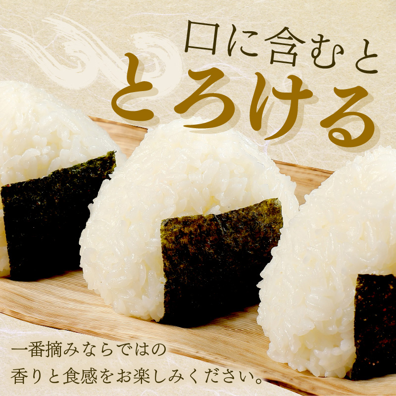 【福岡有明のり】一番摘み 味付海苔詰合せ 5種30袋セット【034-0021】