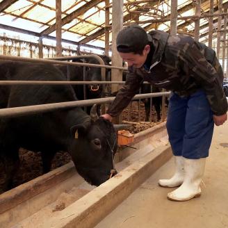 A5等級博多和牛ヒレステーキ　200g×5枚【036-0002】