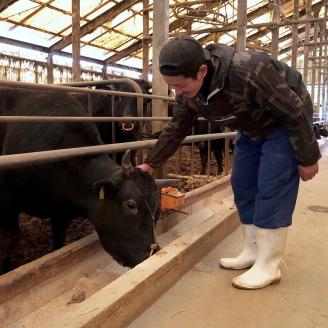 A5～4等級　厳選博多和牛赤身うす切り　1kg【036-0011】