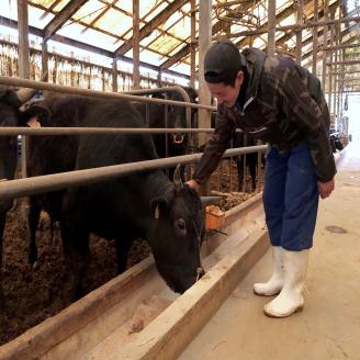 A5～4等級 博多和牛100％本格手ごねハンバーグ150g×10個【036-0012】