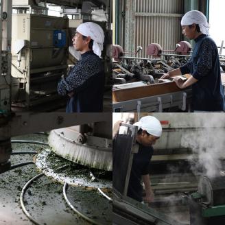 【6回定期便】[八女茶]奥八女星野村 深蒸し高級煎茶(深蒸し茶)100g×1袋【059-0064】