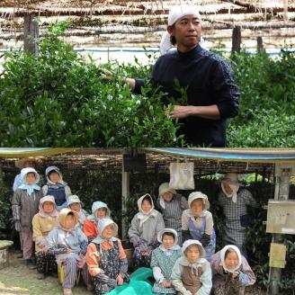 [八女茶]奥八女星野村　伝統本玉露50g×1袋【059-0020】