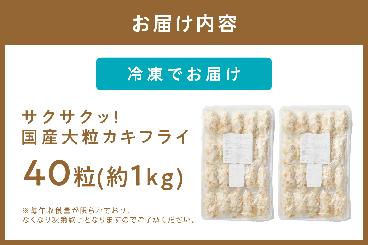 サクサクッ!国産大粒カキフライ40粒(約1kg) 牡蠣フライ 冷凍 大粒【001-0011】
