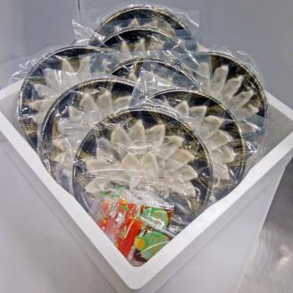 【4回定期便】本場九州の味 とらふぐ刺身8皿セット【001-0458】